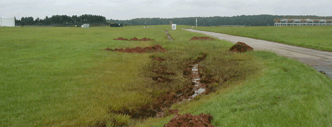 Raleigh-Durham International Airport Cleanup