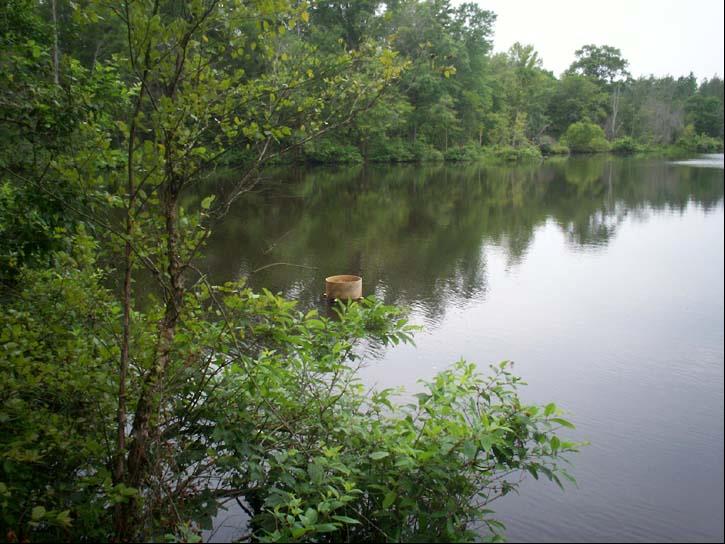 Newland Dam Evaluation S&ME