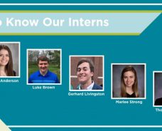 Get To Know Our Interns!