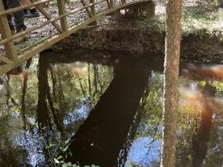 Congaree National Park Geotechnical Explorations