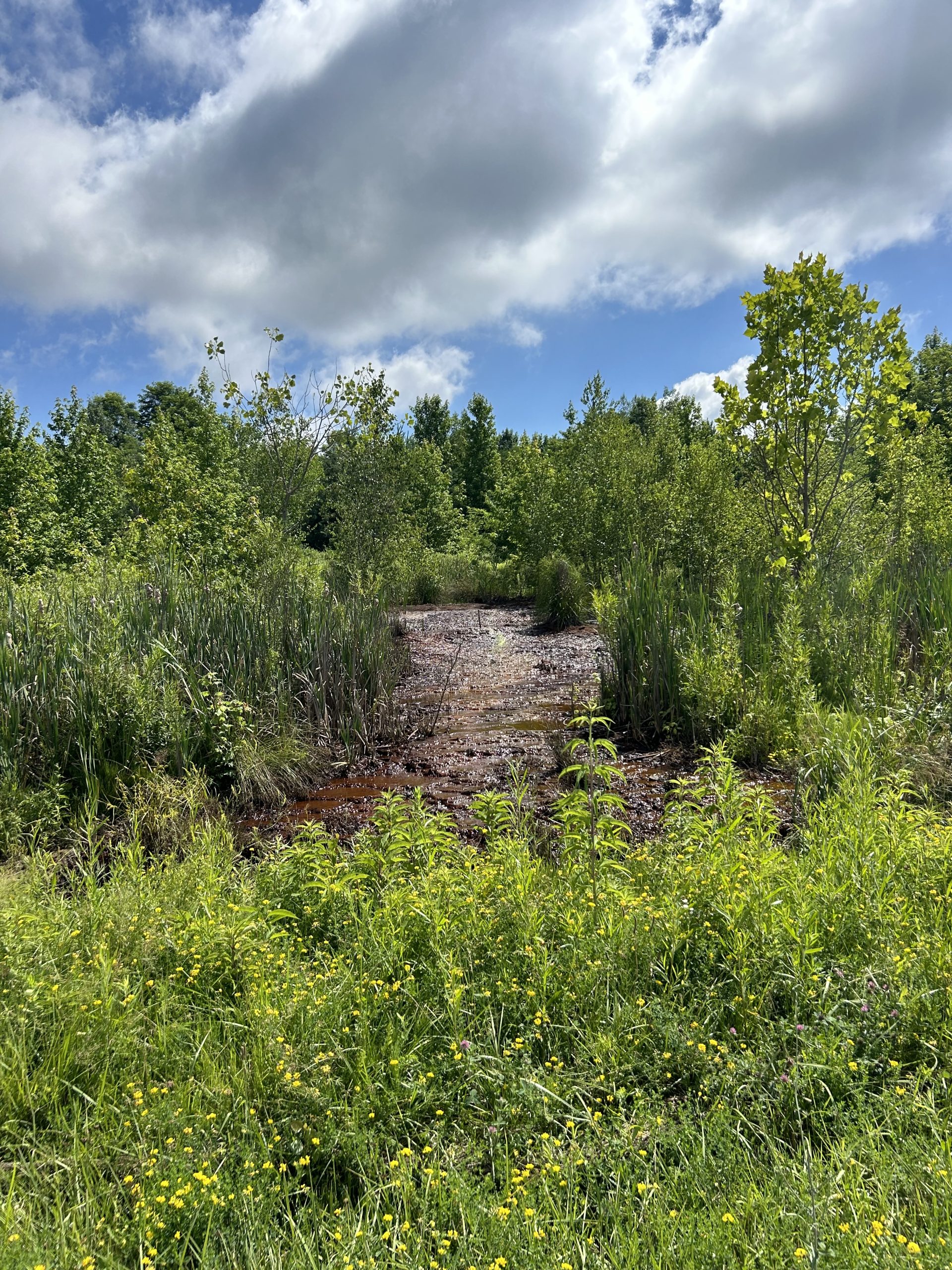 geotechnical project site before reclamation