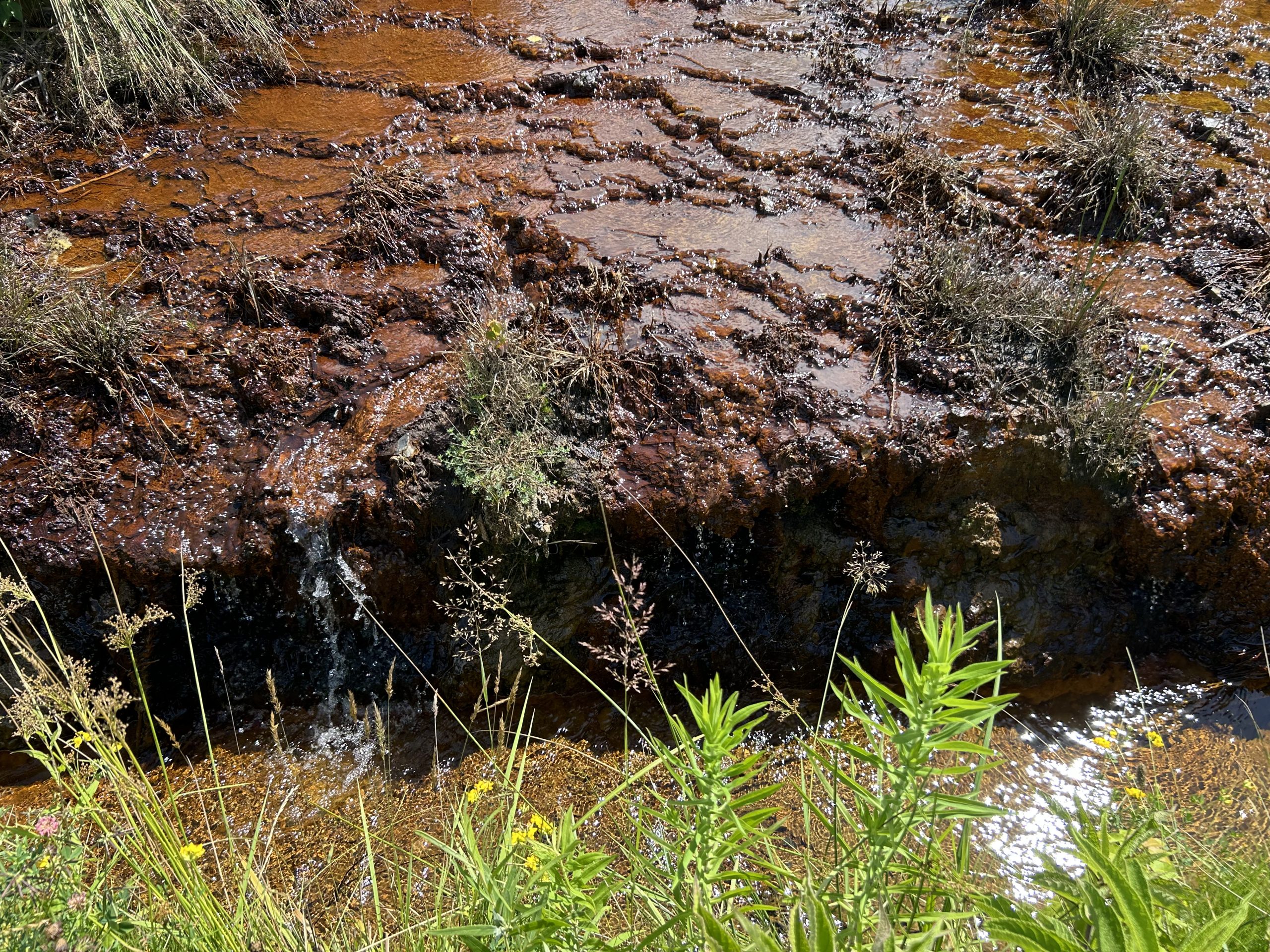 Acidic mine drainage seeps